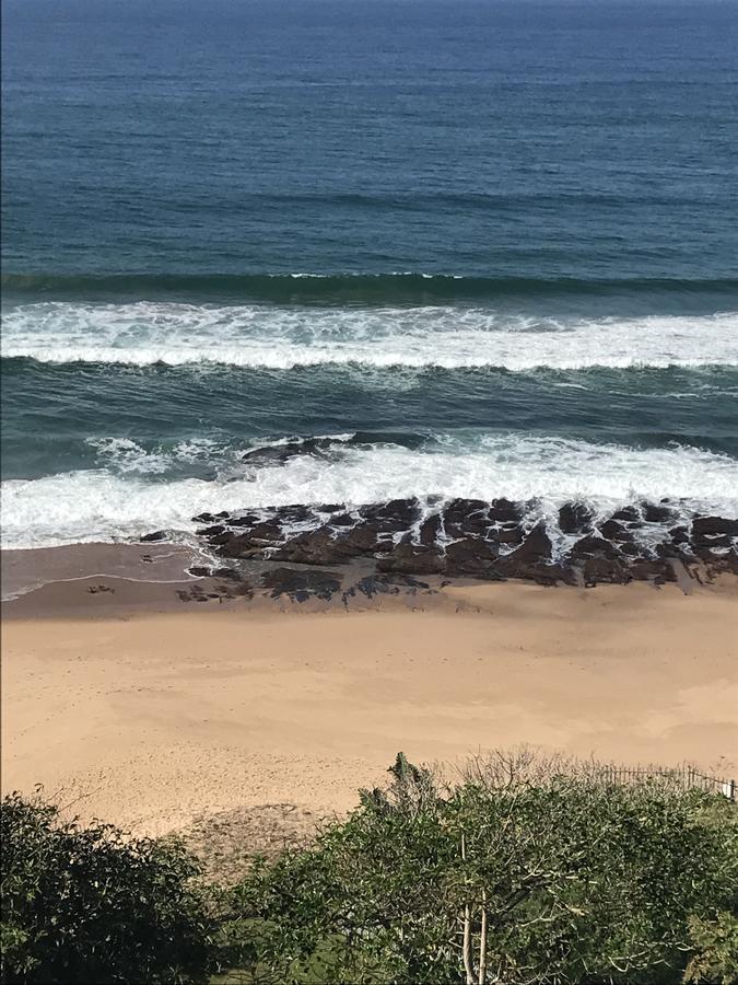 בליטו Beach Forest Lodge מראה חיצוני תמונה