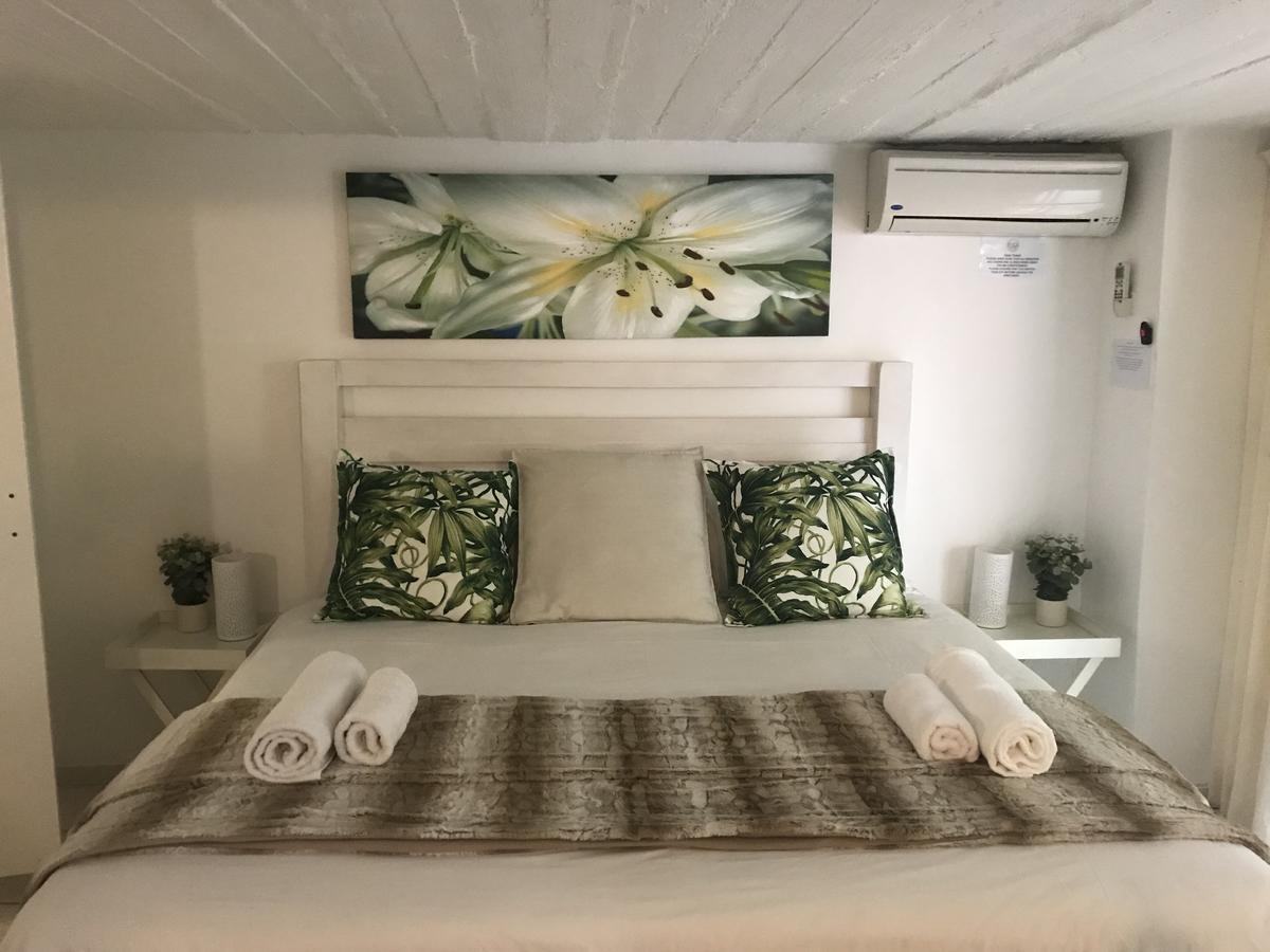 בליטו Beach Forest Lodge מראה חיצוני תמונה