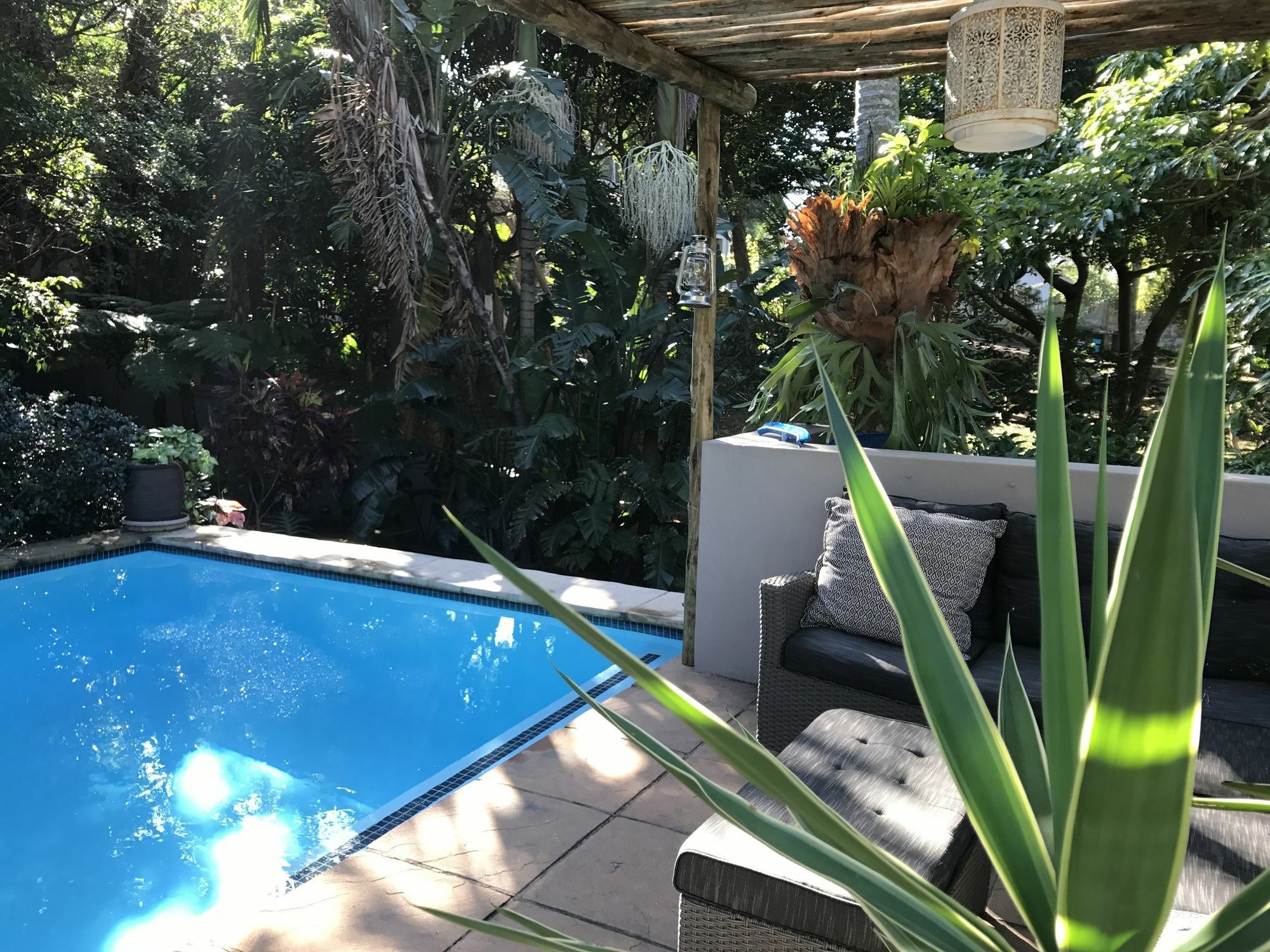 בליטו Beach Forest Lodge מראה חיצוני תמונה